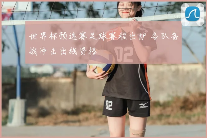 世界杯预选赛足球赛程出炉 各队备战冲击出线资格