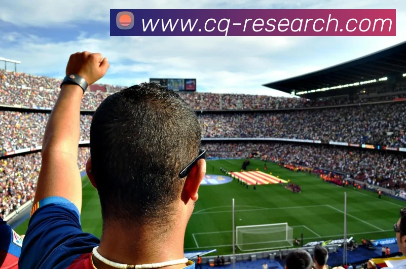 多媒体互动体验